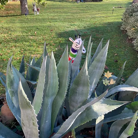 Château De Boubène