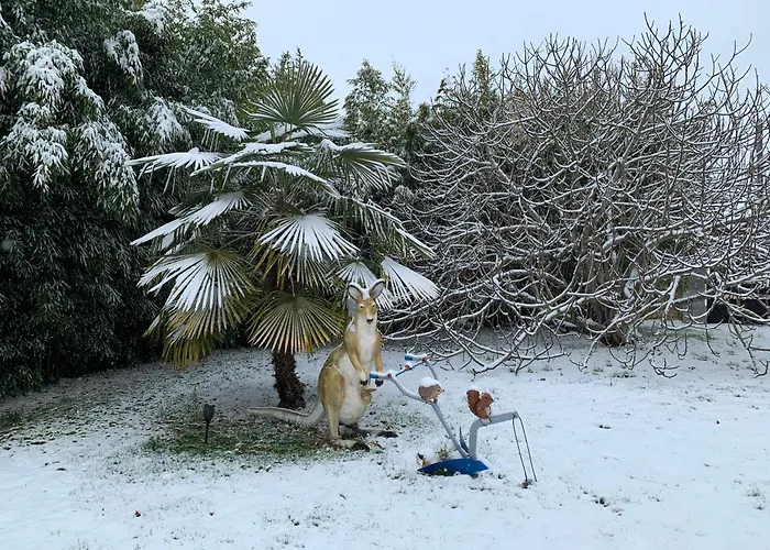 Château De Boubène *