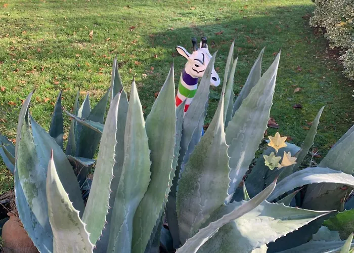 Château De Boubène